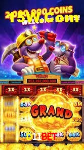 Experiência VIP D11BET